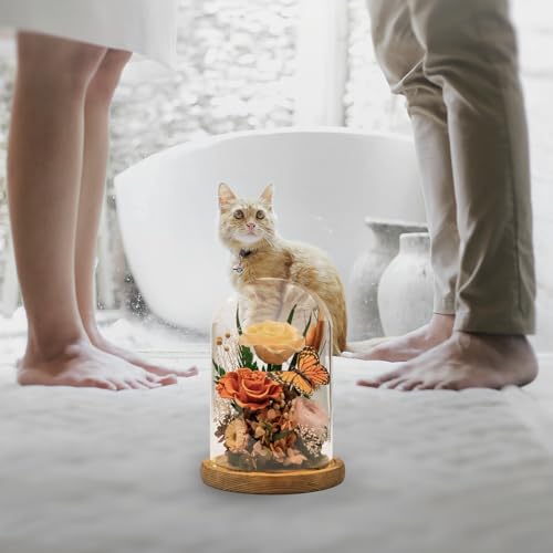 Eternal Flowers with Butterfly: Big Is Love Series-Elegant Preserved Flowers in Glass Dome-Valentines, Anniversary, Mom Gifts for Her-Flowers for Delivery Prime-Flower Arrangements (Orange)