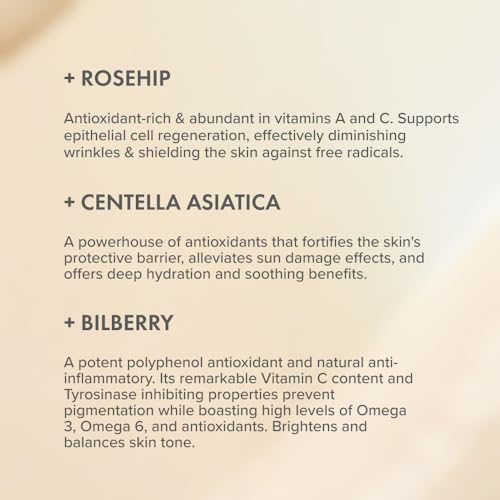 The Organic Pharmacy Rose Rejuvenating Face Cream, 50ml, Anti-aging Moisturizer with Rosehip Oil, Centella Asiatica, for All Skin Types