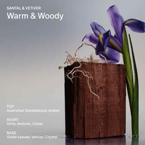 Salt & Stone Antioxidant-Rich Body Wash - Santal & Vetiver | Cleanse, Nourish & Soften Skin with Niacinamide & Hyaluronic Acid | Free From Parabens, Sulfates & Phthalates (15.2 fl oz)