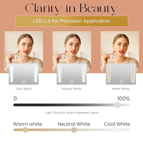 Lighted Makeup Case with Mirror - Portable Travel Makeup Organizer with LED Mirror, 3 Light Settings, Rechargeable Makeup Bag with Mirror and Light - Mini 10x Mirror included