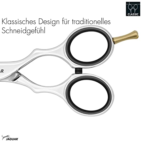 Jaguar Pre Style Ergo P Hairdressing Scissors, 6-Inch Length, 0.0379 kg