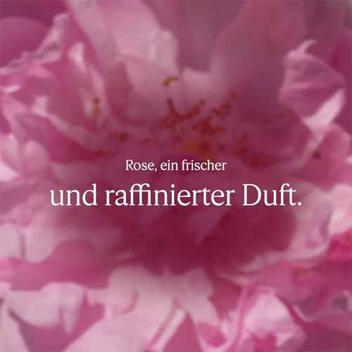 L'OCCITANE Body Lotion: Moisturizing With Shea Butter, Softening, Visibly Firmer-Looking Skin, Made in France, Almond Milk Veil, Noble Epine, Barbotine, Cherry Blossom, Lavender, Rose and Verbena