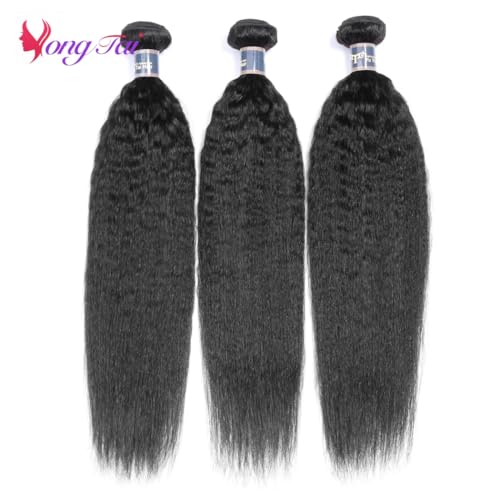 Brazilian Kinky Straight Human Hair - 3 Bundles Virgin Kinky Straight Hair 12 14 16 Inches 100% Unprocessed Kinky Straight Human Hair Extensions for Black Women 1B Color