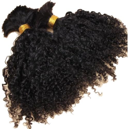 Afro Kinky Bulk Human Braiding Hair 100% Unprocessed Brazilian Virgin Human Hair Extensions Micro Kinky Curly Braids Hair Braids Double Drown Full End Bulk Hair 22 Inch 100g