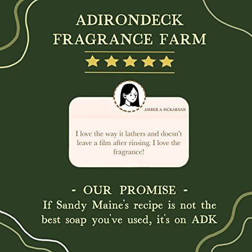 Adirondack Fragrance & Flavor Farm ADK Birch Soap Natural Soap Bar 16oz, Plant-Based Organic Vegan Soap with Essential Oils, Natural Body Wash for Men & Women, Dry and Sensitive Skin