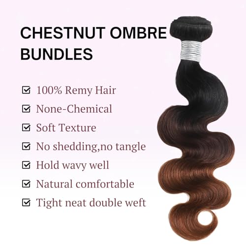 12A Chestnut Brown Ombre Body Wave Bundle Human Hair 26 Inch, T1B/2/30 3 Tone Brown Color Remy Hair Single 1 Bundle 100% Sew In Quick Weave Dark Roots Keep Soft Glossy after Washes