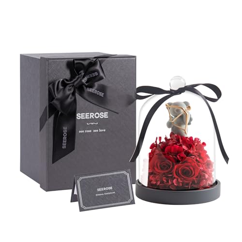 SEEROSE Preserved Rose with Cupid Bear in Glass Dome, Eternal Real Rose Romantic Gift for Her, Women, Mom, Wife, Girlfriend, Valentine¡¯s Day, Mother¡¯s Day, Christmas, Birthday (Cupid Bear, Red)
