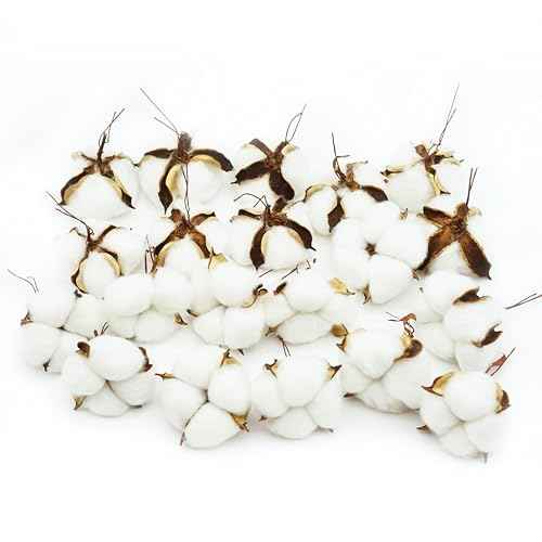 25 Pcs White Cotton Bolls Balls Decor, Dried Cotton Balls for Wreath Decorative, Home, Wedding Decor Balls