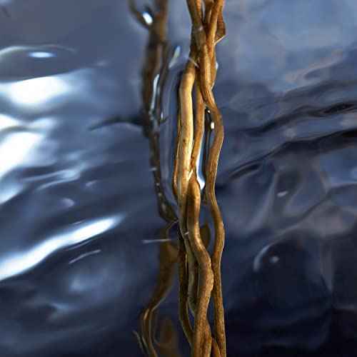 Davidoff Cool Water Reborn Eau de Toilette 2.5 fl oz