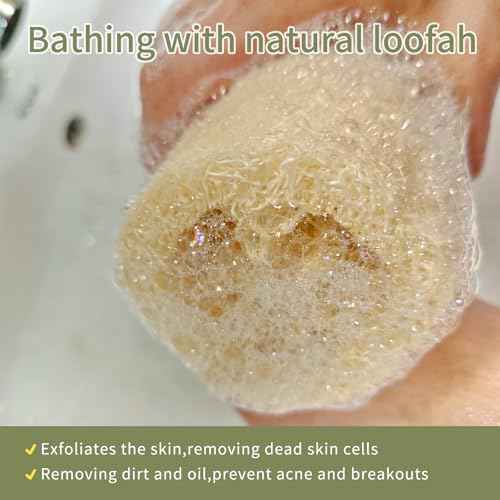 Rough Natural Loofah Sponge Exfoliating Body Scrubber for Men Daily Deepcleaning Green Glow Hard Luffa Dye-Free Biodegradable Scratch-Free(6inch,3Pack)