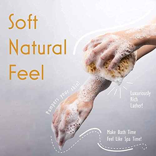 myHomeBody Bath Sponge, Foam Loofah, Body Scrubber for Bathing, Exfoliating Shower Pouf for Shower ? Large Size, Lots of Lather, Curvy, 3 Pack