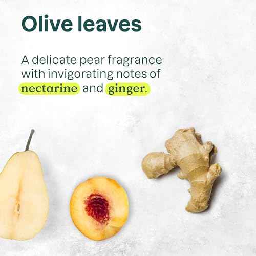 ATTITUDE Body Cream, EWG Verified Moisturizer, Vegan Moisturizing Products For Dry Skin, Dermatologically Tested, Olive Leaves, 8 Fl Oz