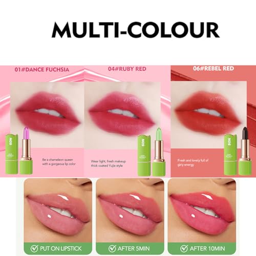 3Pcs Magic Temperature Color Changing Aloe Vera Lipstick Set,Moisturizing Lip Balm,Waterproof Long Lasting Nourishing Lipstick for Women Lip Care Makeup