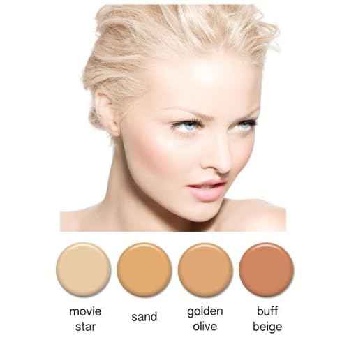 FAIR Complexion Professional Airbrush Cosmetic Makeup System / 4pc Foundation Set with Blush, Bronzer, Shimmer and Primer Makeup Airbrush Kit