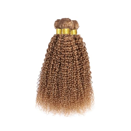 22 24 26 Inch Color 27 Bundles Human Hair Honey Blonde Curly Bundles Brazilian Unprocessed Virgin Hair 3 Bundles Color 27 Kinky Curly Bundles Human Hair