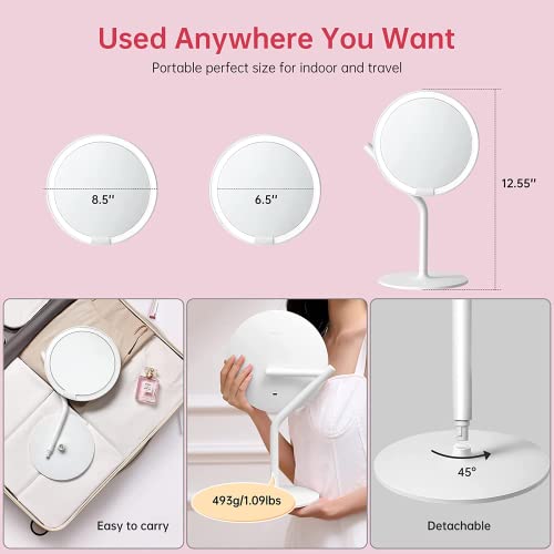 AMIRO 8'' LED Makeup Mirror, 5-Level Brightness/Touch Screen Control/Memory Function/180¡Æ Rotation/Detachable Small 5X Magnification Mirror