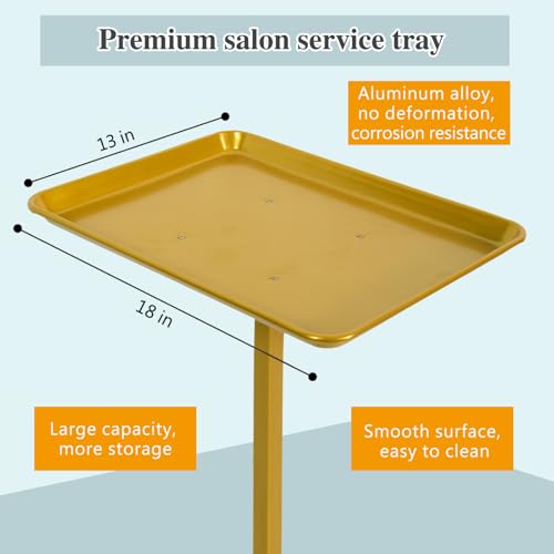 Salon Tray for Hair Stylist Steel Salon Tray Attached to Chair 360 Degree Rotating for Barber Chairs Hairdressing Tools Tattoo(Golden)