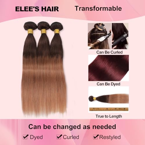 Ombre Straight Hair Bundles With Closure 12A Brazilian Virgin Remy Human Hair 2 Tone T4/30 Ombre Straight Human Hair Bundles with 4x4 Lace Closure Free Part (12 14 16 +12)