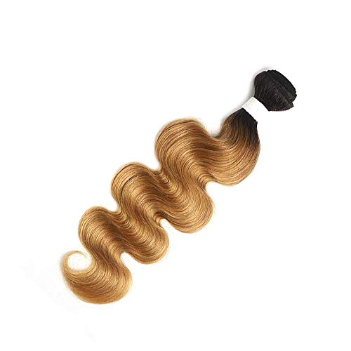 X-TRESS 1b27 Hair Bundles Body Wave 1 Bundle Ombre Honey Blonde Brazilian Hair Weave 100% Human Hair Extensions Bundles Ombre Color 27 Hair Weave(24 Inch, T1B/27)