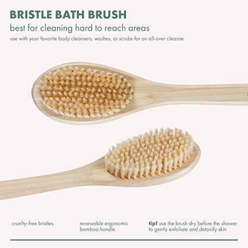 EcoTools Bath Bristle Brush, Bath Brush with Long Handle, Cleanse Back & Hard-to-Reach Areas, Eco Friendly Shower Brush for Exfoliating, Cruelty Free Nylon Bristles, Vegan, 1 Count