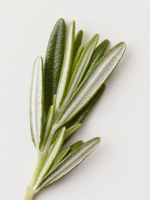 AG Care Renew Clarifying Shampoo, Remove Build Up, Colour Safe Sulfate-Free Shampoo 33.8 Fl Oz