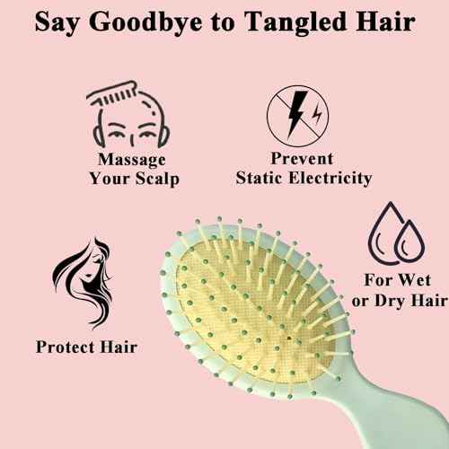 12 Pack Mini Hair Brush Bulk, Wet Hair Brush for Travel, Mini Brush for Most Hair Types, Travel Brushes, Bridesmaid Gifts