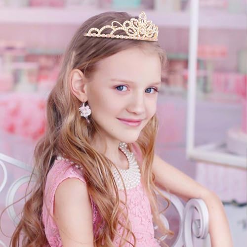 Princess Tiara for Little Girls Princess Crowns for Little Girls Pink Tiaras for Girls Fairy Crown Headband for Birthdy Christmas Halloween Party Favors Prom Wedding Gifts Decorations Flower Crystal Rhinestones Headpiece