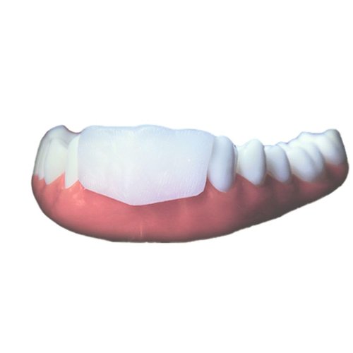 OmniGuard - Professional Lip Protector - double