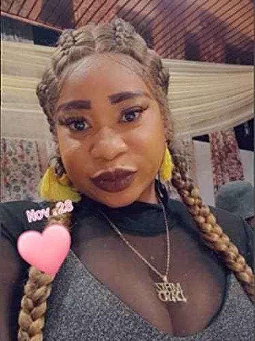 variouswig 4 Twist Lace Front Braid Wig Nature Looking with Baby Hair Synthetic Wigs Hand Tied Heat Resistant Fiber 4 Braided Daily Wear Wigs for Women 30 Inches (Brown)