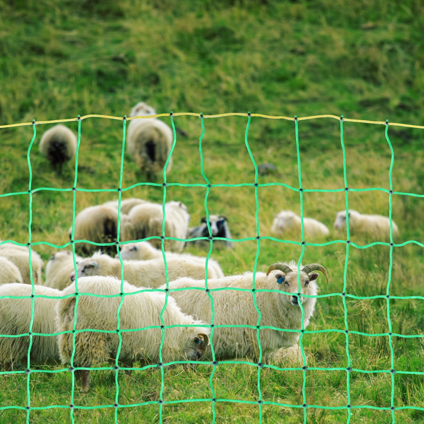 Electric Fence Netting for Livestock - 35 Inch H x 164 Feet L with Posts & Stakes