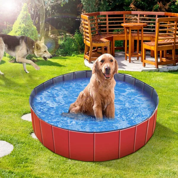 Foldable Pet Swimming Pool PVC Kiddie Dog Bathing Tub & Kids Playmat