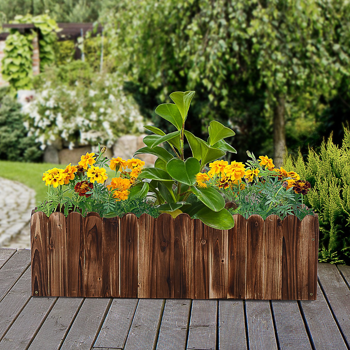 40x16x12 Inch Wooden Raised Garden Planter Box with Scalloped Edge
