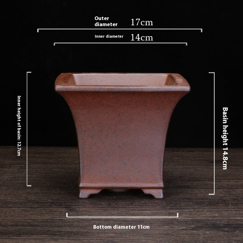 Indoor Decorative Porcelain Plant Pot with Purple Sand for Home & Office