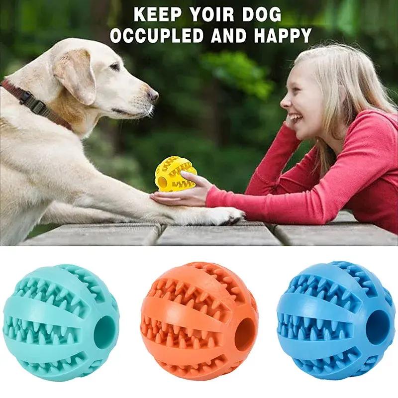 Interactive Dog Treat Ball - Chew Toy for Small & Medium Dogs