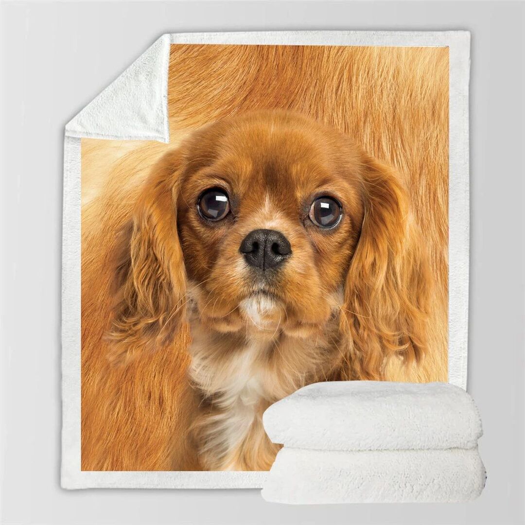 Double-Sided Flannel Blanket for Home & Air Conditioning Use - Multiple Sizes & Styles