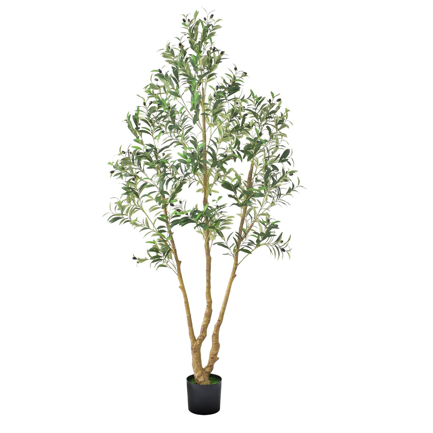 7FT Artificial Olive Tree with Black Pot - Realistic Faux Plant for Home & Office