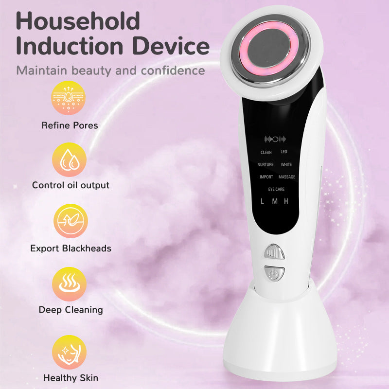 Multifunctional Portable LED Face Lifting Device with EMS & Color Light