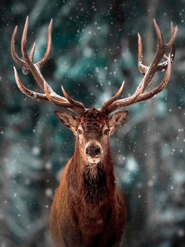 Diamond Painting Animal Deer Cross Stitch Art Kit Home Decor Gift
