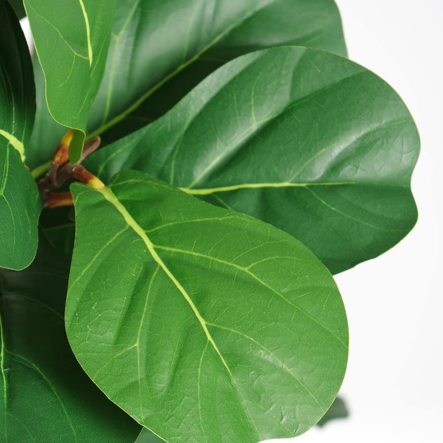 6FT Artificial Fiddle Leaf Fig Tree in Black Pot - Realistic Faux Plant
