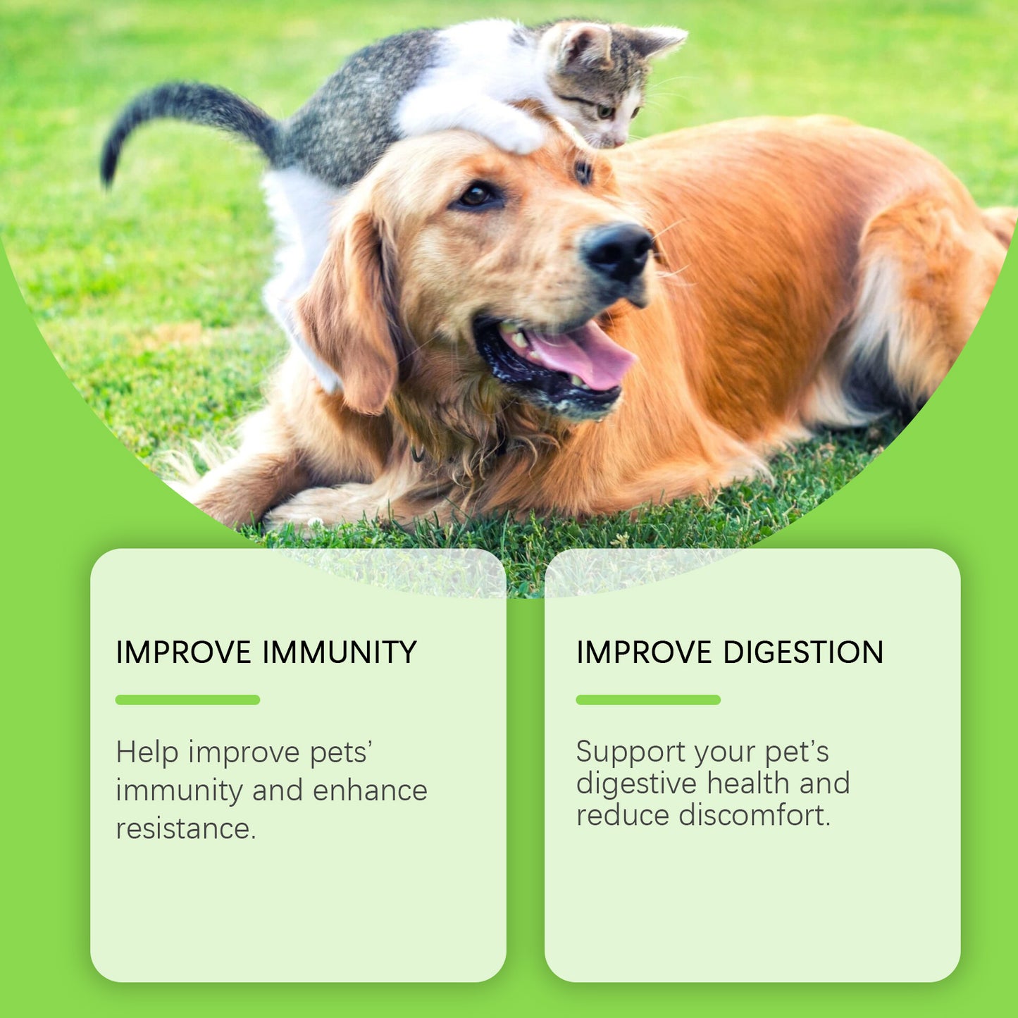 Pet Probiotics & Vitamin Tablets for Dogs & Cats - Gut & Immune Support, 80 Chewable Tablets