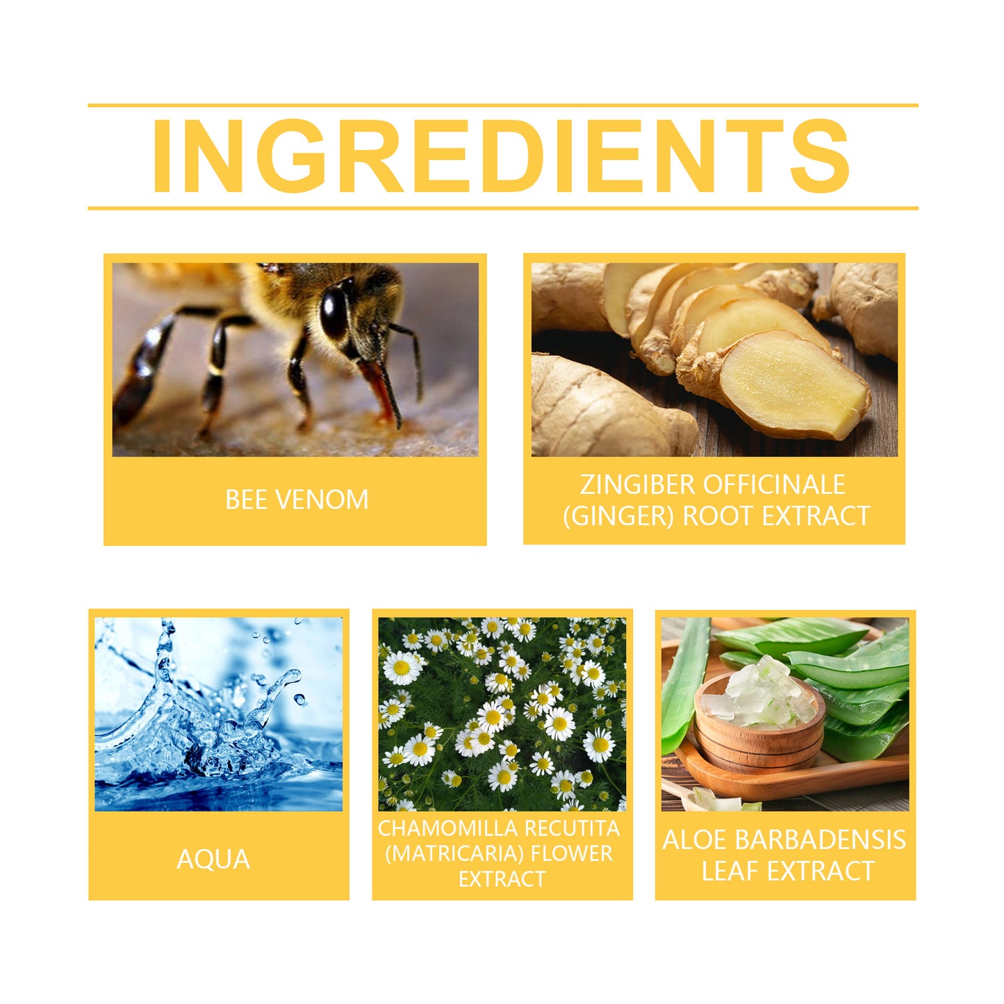 Bee Venom Neck and Back Care Cream - Smoothing & Firming Formula