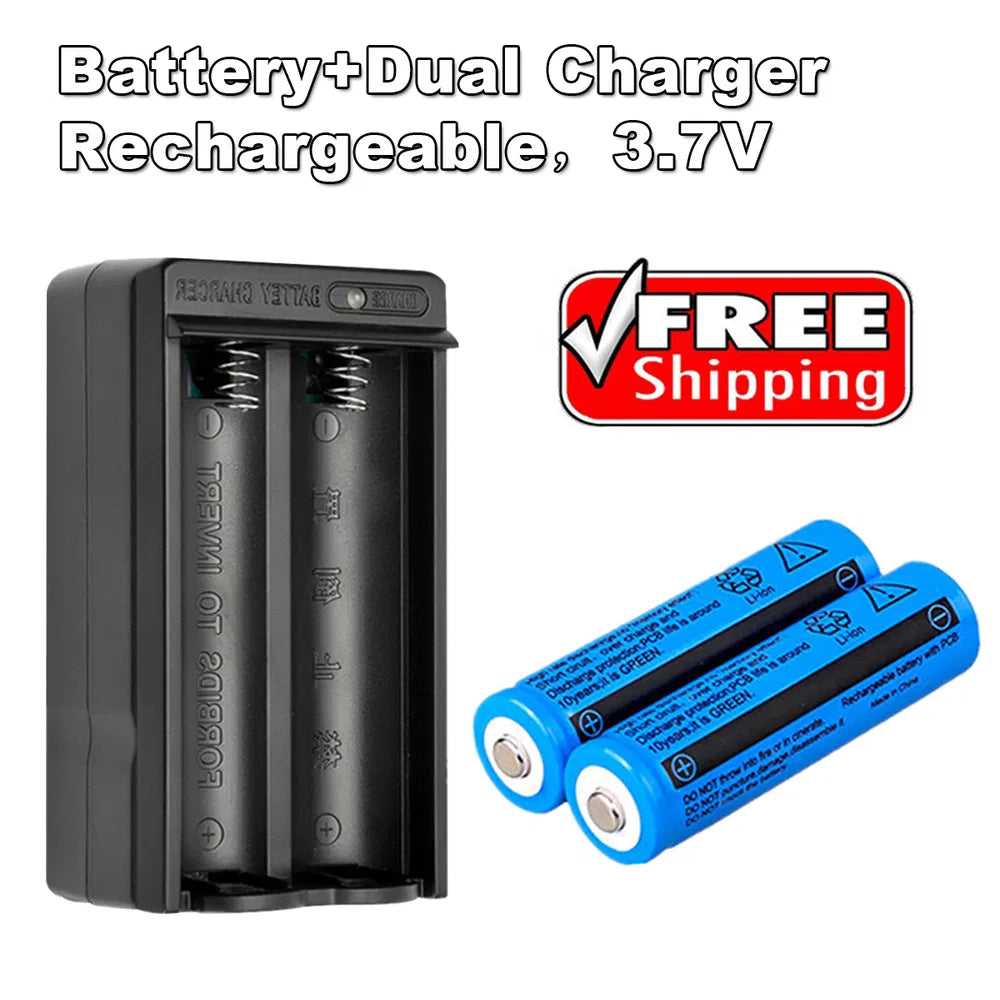 Rechargeable 3000mAh Li-ion Battery Pack with Dual Charger for Power Tools
