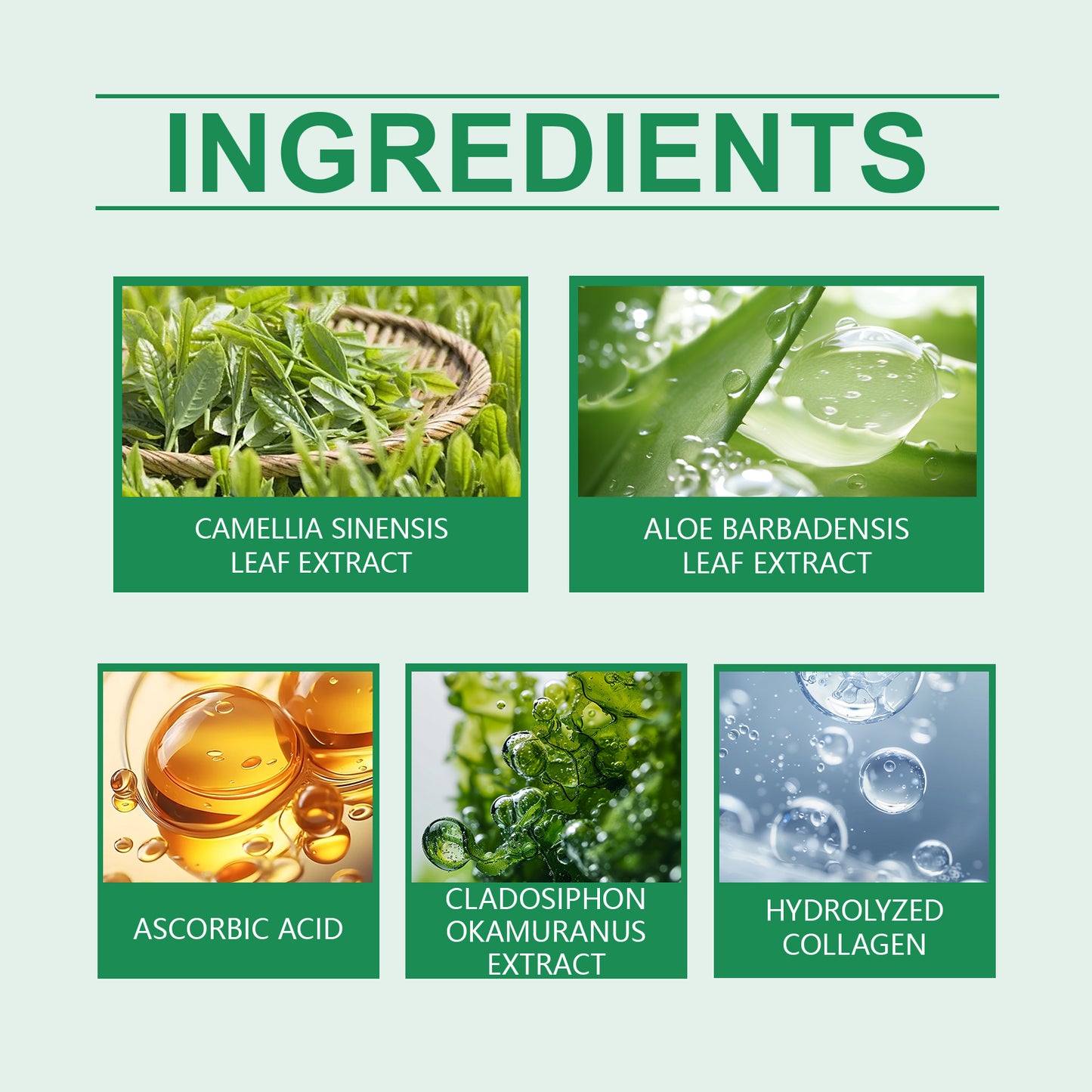Green Tea Solid Cleansing Mask - Pore Purifying & Hydrating Facial Treatment