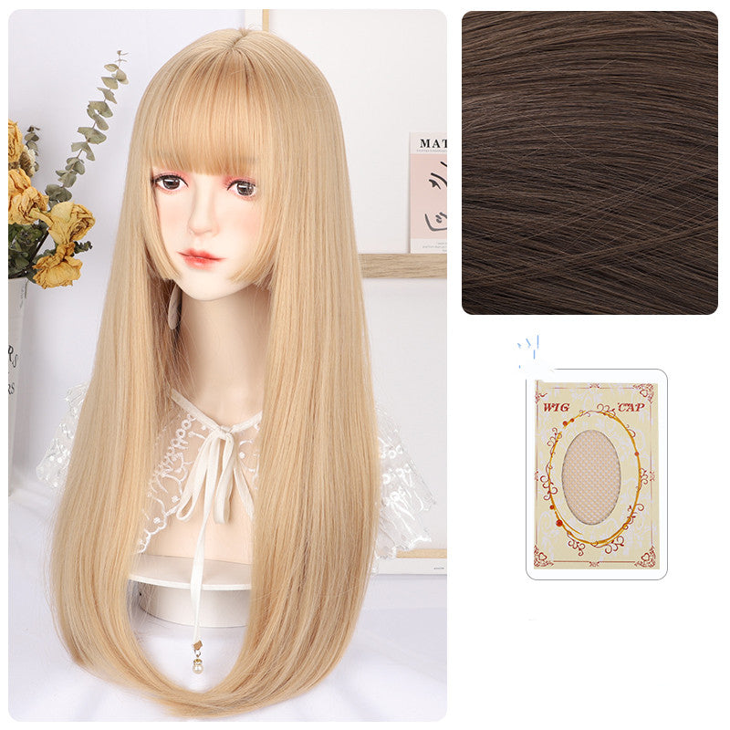 Long Straight Synthetic Wig - 60cm Hair Net