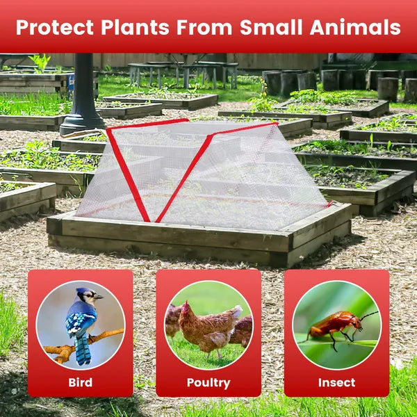 Garden Row Accelerator Plant Covers - 4 Pack for Frost Protection