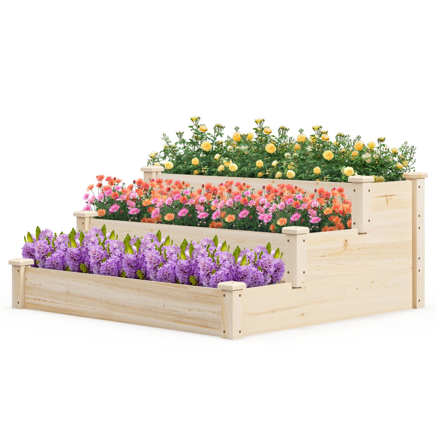 3-Tier Elevated Wooden Vegetable Garden Bed - Sturdy Fir Wood