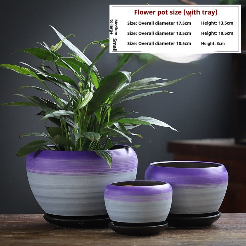 Minimalist Succulent Pot Set - Breathable, Durable Terracotta Planters with Trays