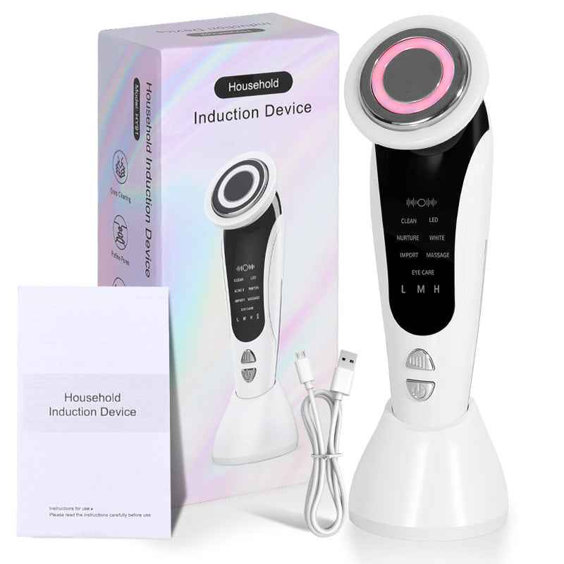 Multifunctional Portable LED Face Lifting Device with EMS & Color Light