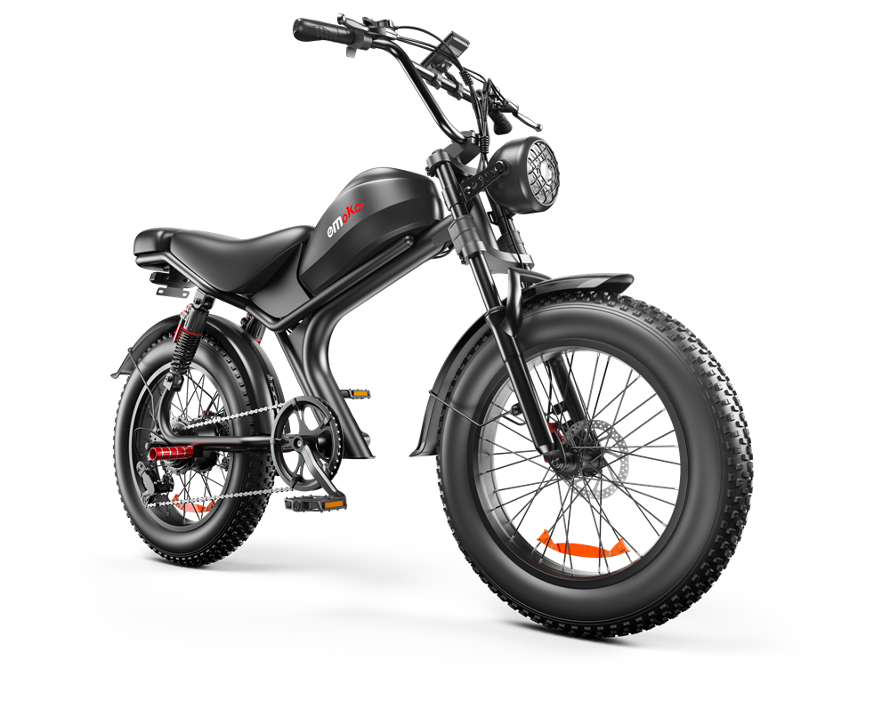 20 Inch Electric Bike - 1000W Motor, 48V Battery, Fat Tires