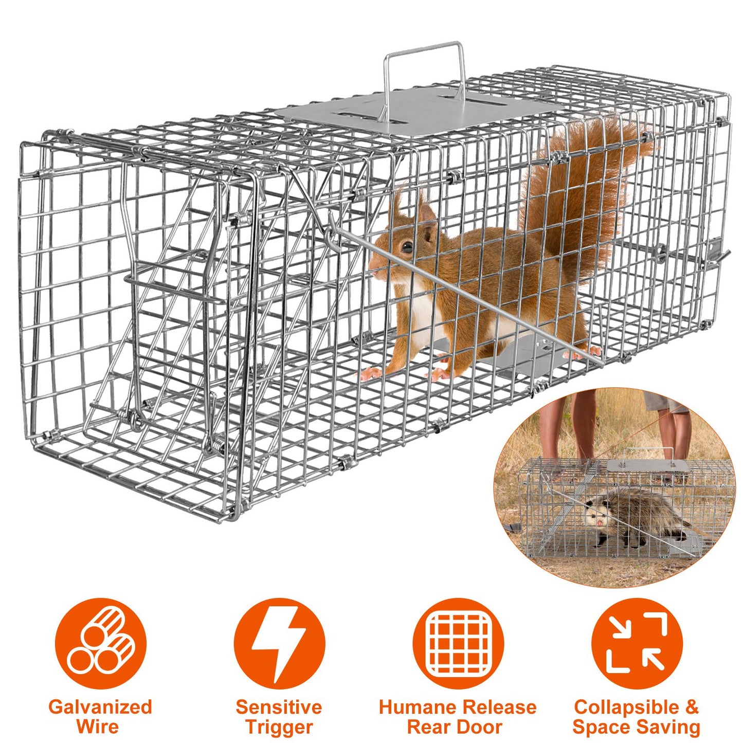 Humane Live Animal Trap Cage - Collapsible Wire for Small Animals